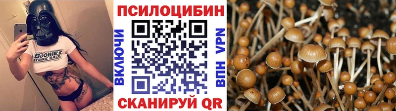 Галлюциногенные грибы прущие грибы  Собинка 